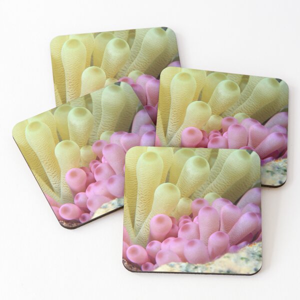 Item preview, Coral fingers designed and sold by AWLPIX.