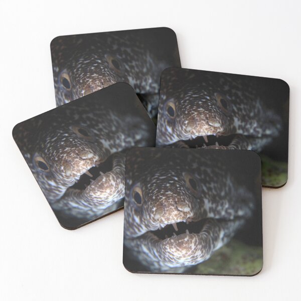 Item preview, Moray eel designed and sold by AWLPIX.