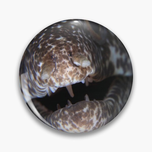 Item preview, Moray eel designed and sold by AWLPIX.