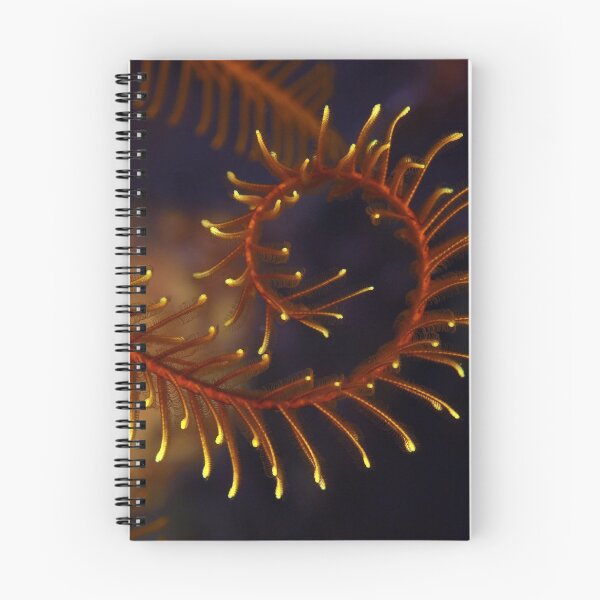Item preview, Feather star arm designed and sold by AWLPIX.