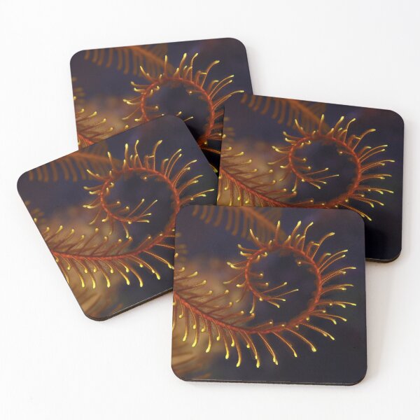 Artikelvorschau, Feather star arm entworfen und verkauft von AWLPIX.