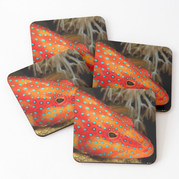 Item preview, Coral grouper designed and sold by AWLPIX.