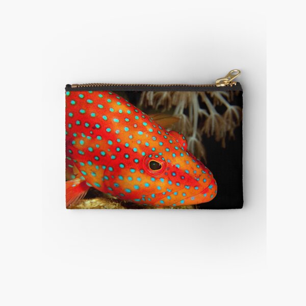 Item preview, Coral grouper designed and sold by AWLPIX.