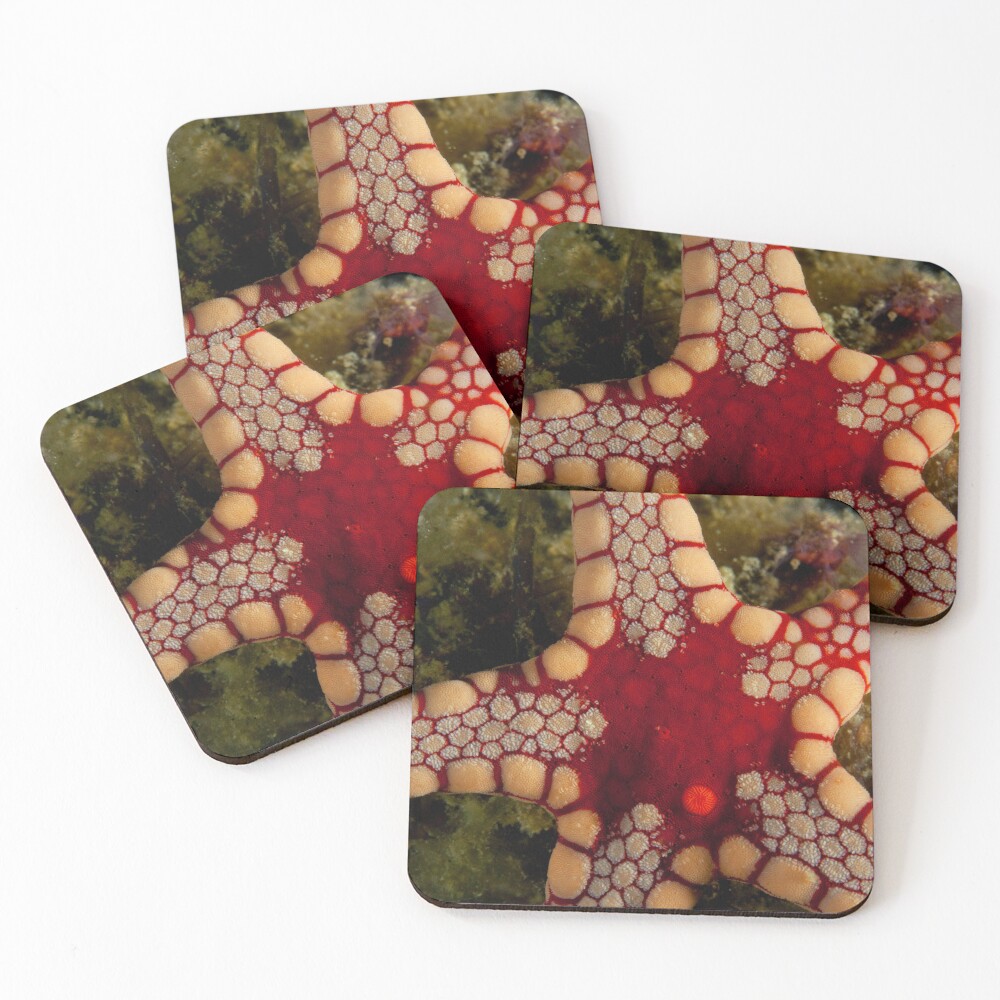 Item preview, Coasters (Set of 4) designed and sold by AWLPIX.