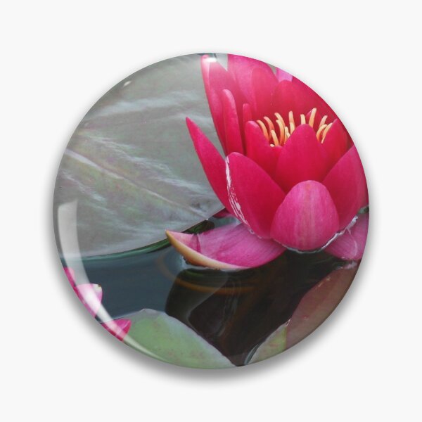 Item preview, Sharing Beauty Tips - Vibrant Pink Water Lilies designed and sold by EasterDaffodil.