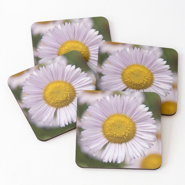 Item preview, Fleabane designed and sold by AWLPIX.