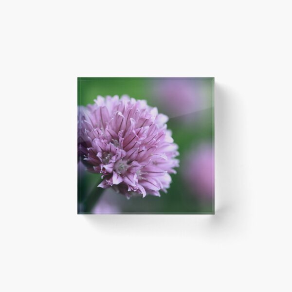 Item preview, Chives designed and sold by AWLPIX.