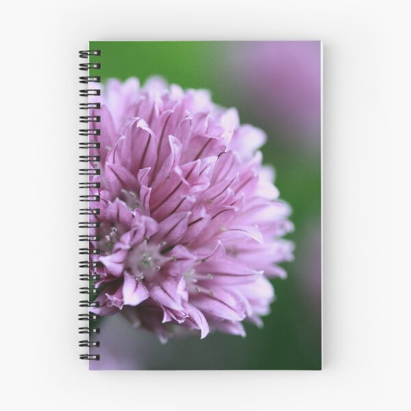 Item preview, Chives designed and sold by AWLPIX.
