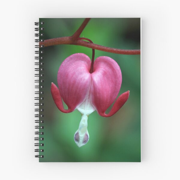Item preview, Dicenta designed and sold by AWLPIX.