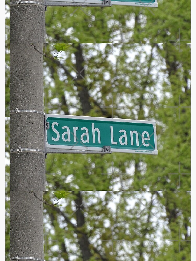 Sarah Lane, Sarah, Sarah mask, Sarah mug, Sarah magnet, Sarah sticker, by PicsByMi