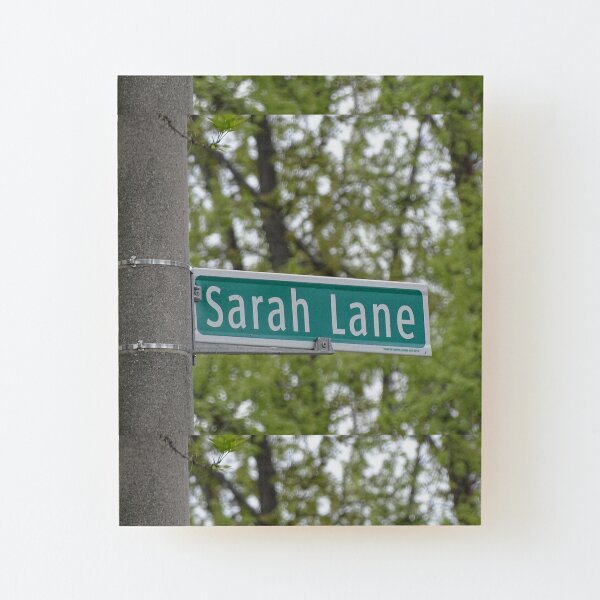 Sarah Lane, Sarah, Sarah mask, Sarah mug, Sarah magnet, Sarah sticker, Wood Mounted Print