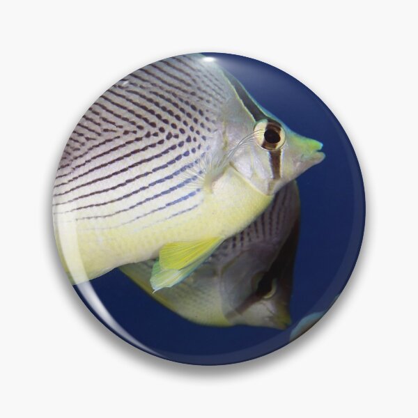 Item preview, Four eyed butterflyfish designed and sold by AWLPIX.