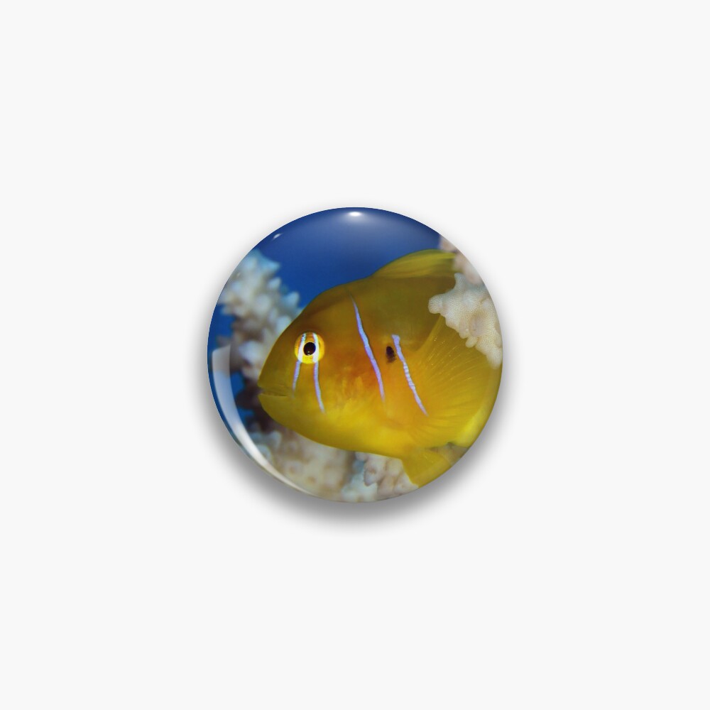 Aperçu de l'œuvre Badge créée et vendue par AWLPIX.