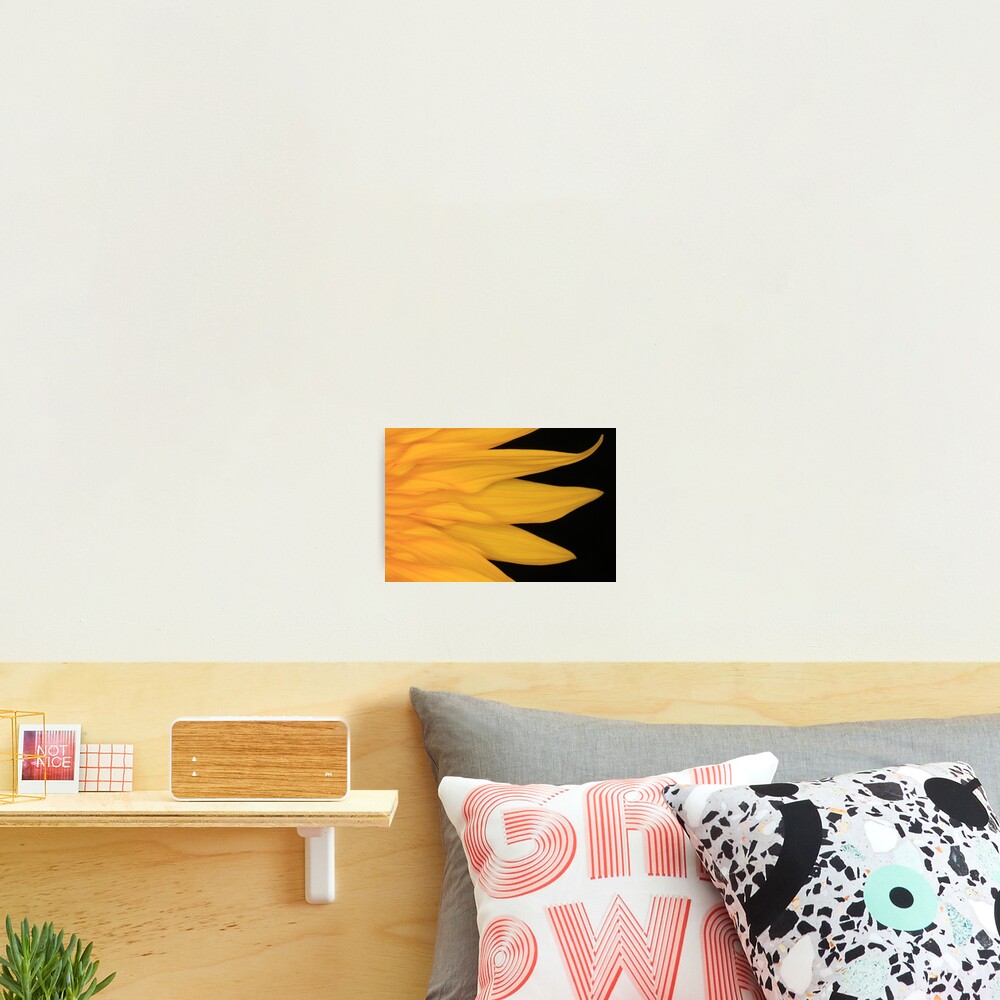 Vista previa del artículo con la obra «Lámina fotográfica», diseñado y vendido por AWLPIX.
