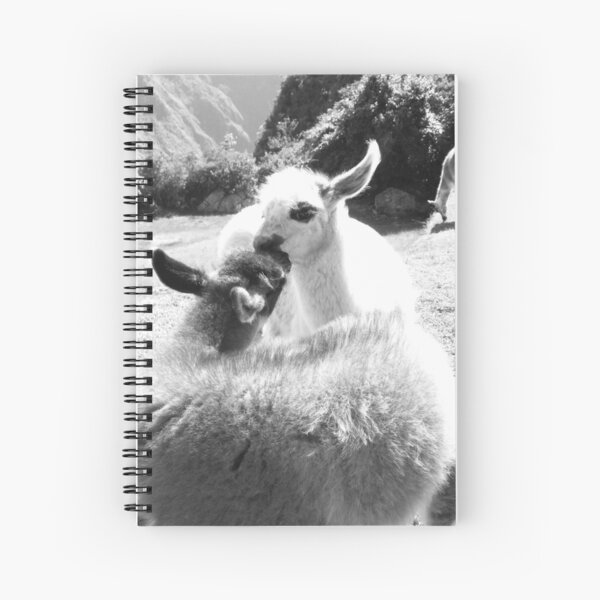 Llama Love - Machu Picchu Spiral Notebook