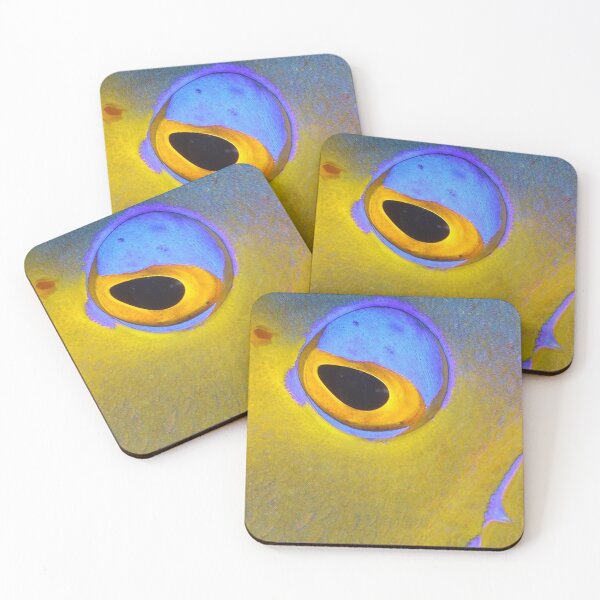 Item preview, Close up of Queen Angelfish designed and sold by AWLPIX.