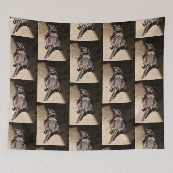 Item preview, Roadrunner puffing its feathers by Katy Christoff  designed and sold by KatyChristoff.