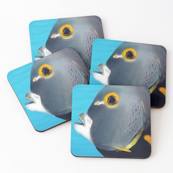 Item preview, French Angelfish designed and sold by AWLPIX.