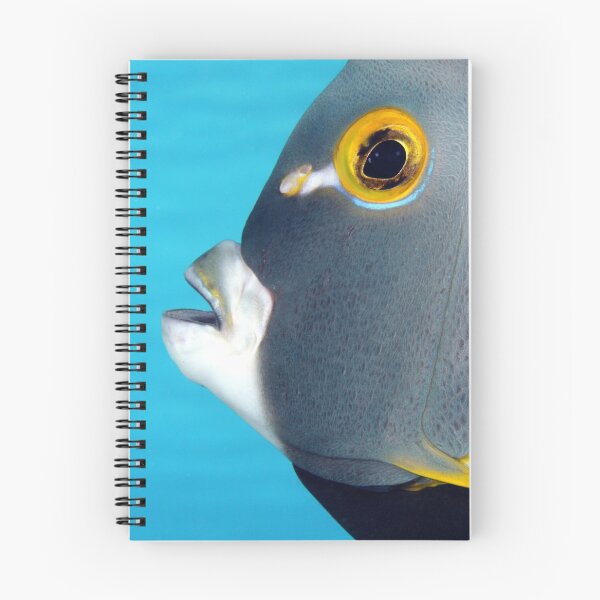 Item preview, French Angelfish designed and sold by AWLPIX.