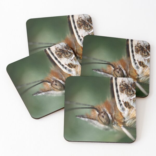 Item preview, Painted lady butterfly  designed and sold by AWLPIX.