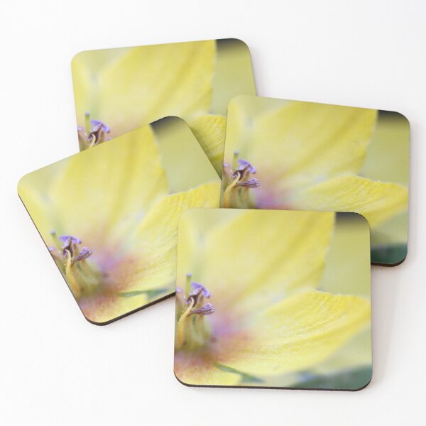 Item preview, Yellow loosestrife designed and sold by AWLPIX.