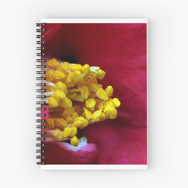 Artikelvorschau, Red camelia entworfen und verkauft von AWLPIX.