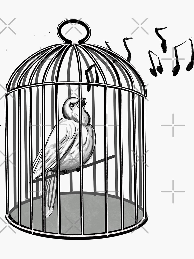  why does the caged bird sing sticker by saralou222 redbubble