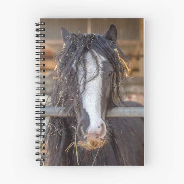 Item preview, Hay you designed and sold by AWLPIX.