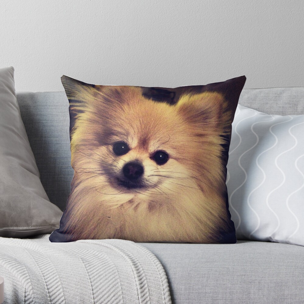 pomeranian pillow