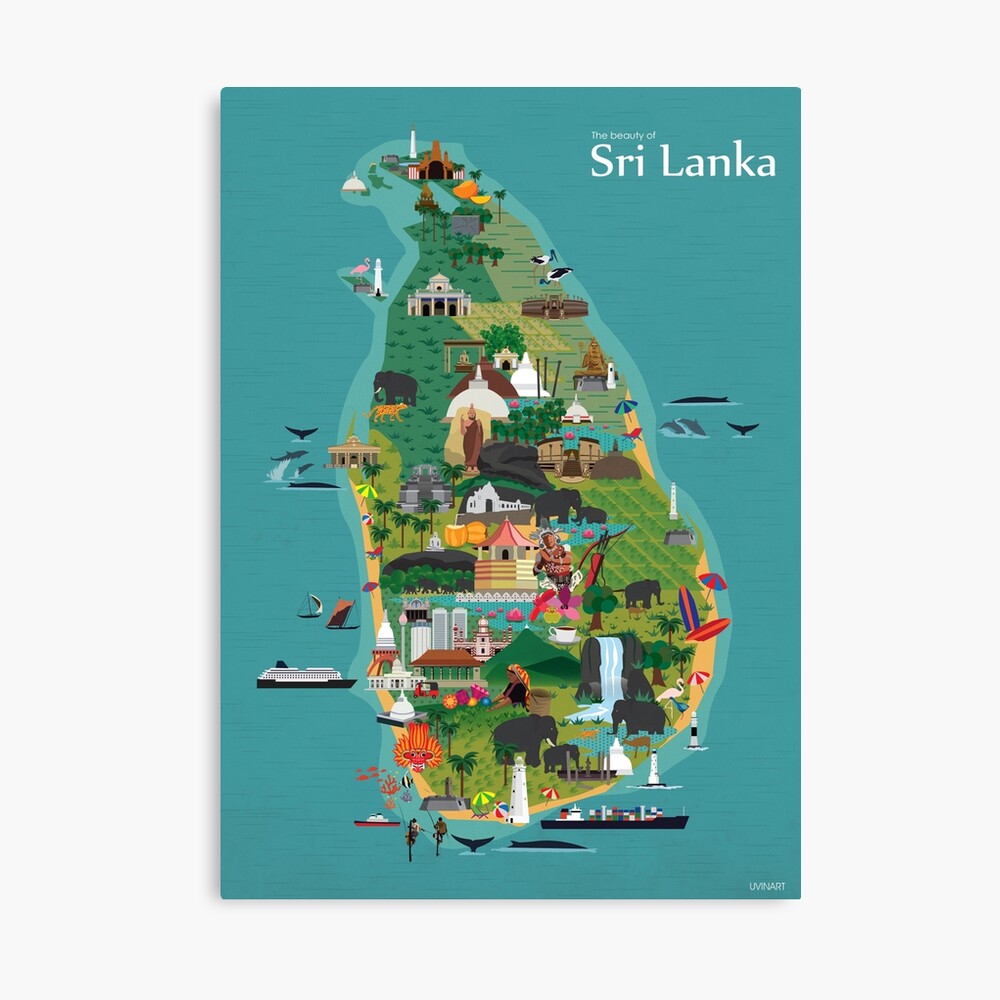 Sri Lanka Map Sketch With Pencil On Grid Paper Stock Vector | Royalty-Free  | FreeImages