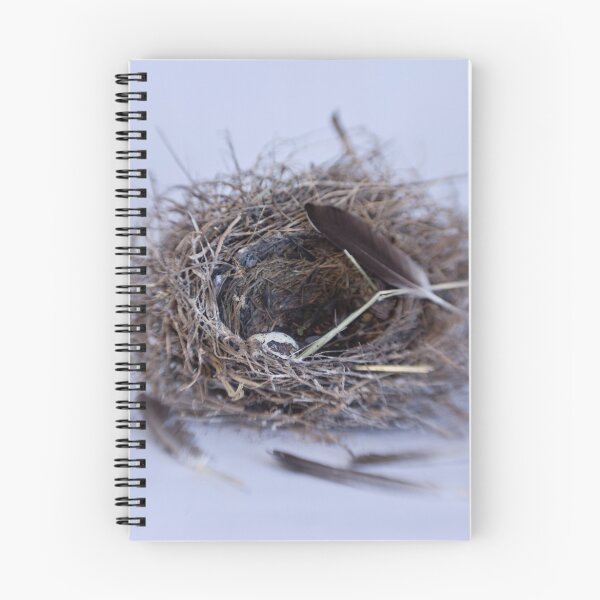 Item preview, Nest and Egg with Feathers  designed and sold by Samantha Peterson.