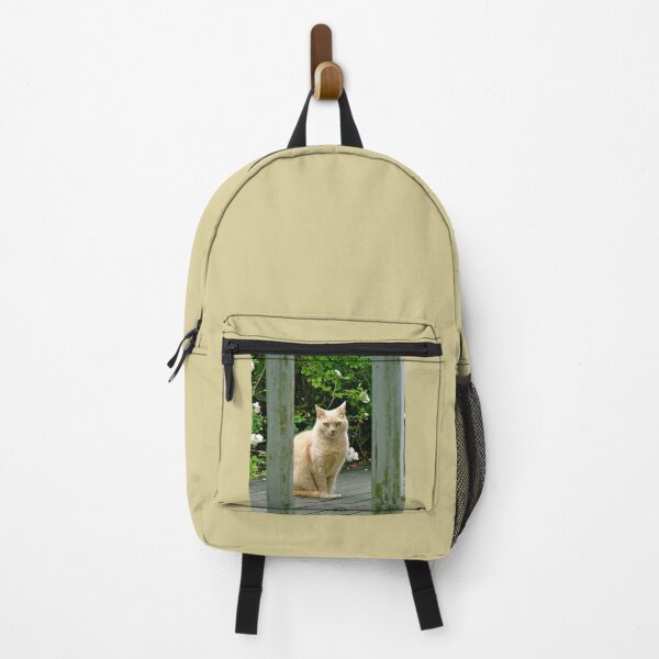 Item preview, Cat as Cool as a Cucumber designed and sold by Anthony Macaluso.