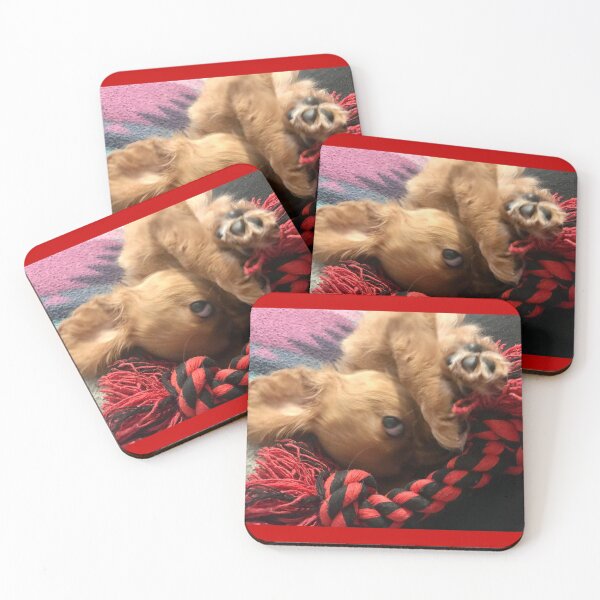 Item preview, Cuteness Overload  designed and sold by lpolitano.