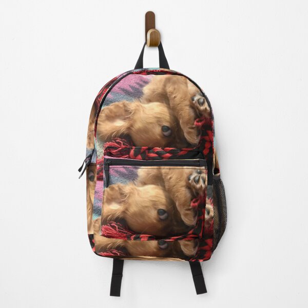 Item preview, Cuteness Overload designed and sold by lpolitano.