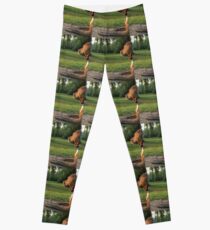Serenity Leggings