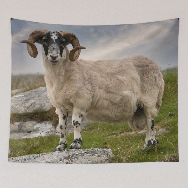 Item preview, I'm Watching You designed and sold by Marylou Badeaux.