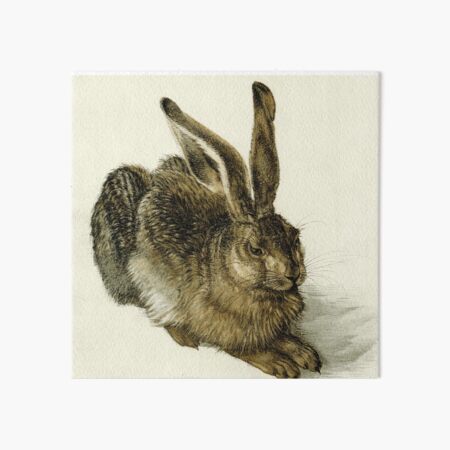 Item preview, Young Hare - Albrecht Durer Classic Famous Art designed and sold by jfreedom.