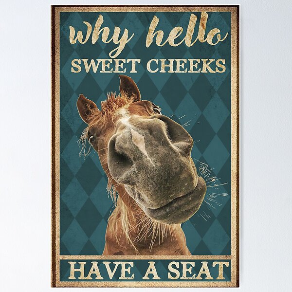 Donkey Gray - Why Hello Sweet Cheeks Have A Seat Canvas Frames 16X20 Poster  18X24 All Size Hi