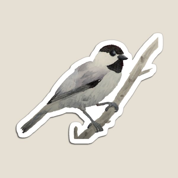 Watercolor Chickadee Bird on a Stick Magnet