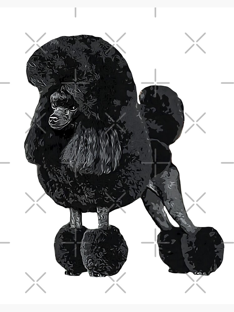 Toy Poodle Gorgeous Mini Dog Teddy | Art Board Print