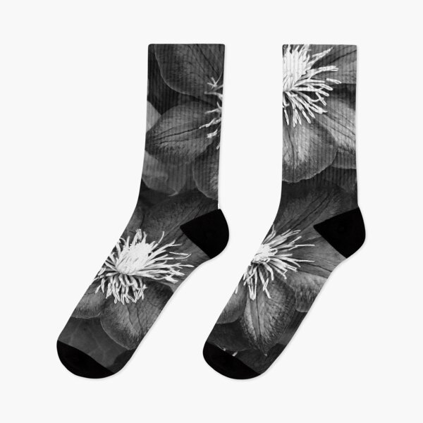 Item preview, Black Clematis designed and sold by Yampimon.