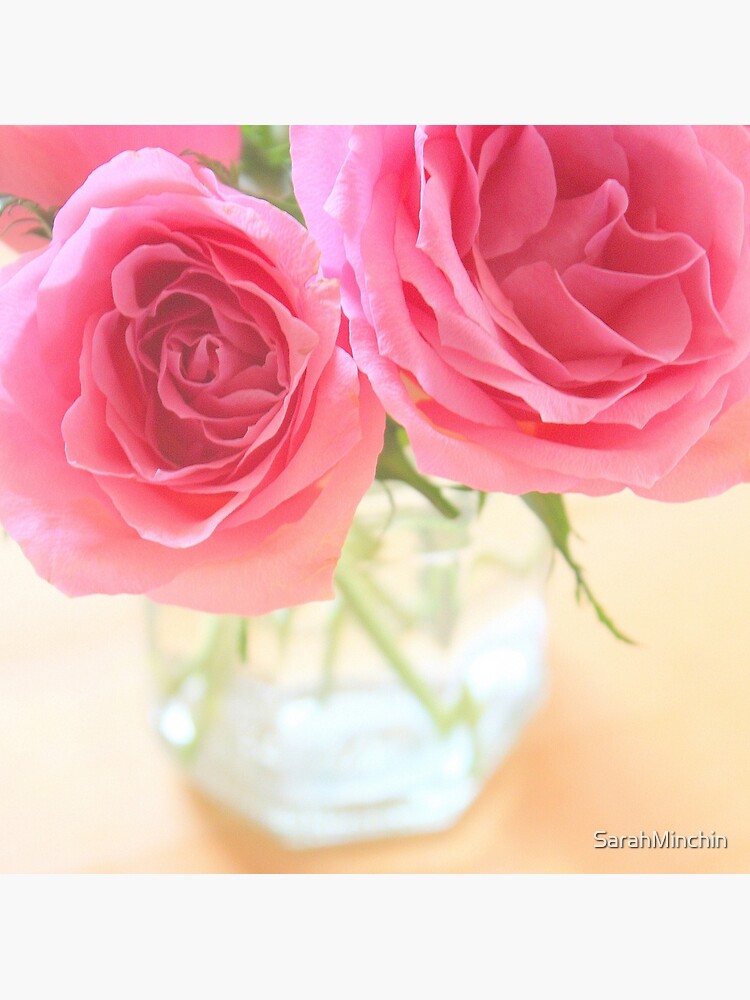 Pink roses by SarahMinchin