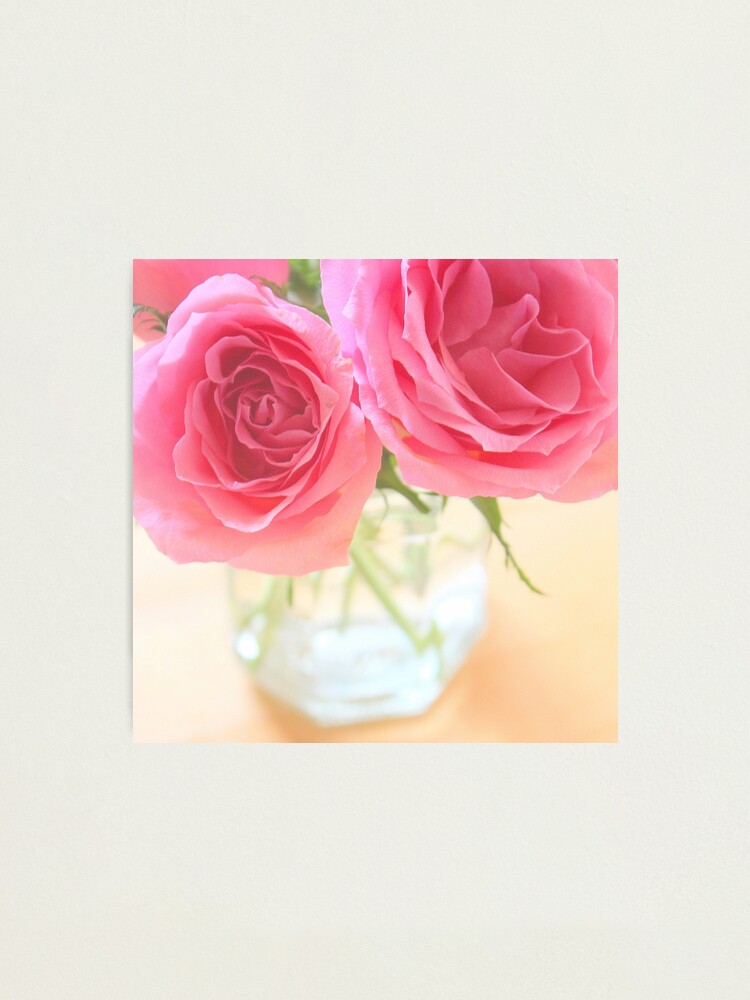 Alternate view of Pink roses Photographic Print