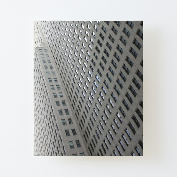 Building Canvas Mounted Print