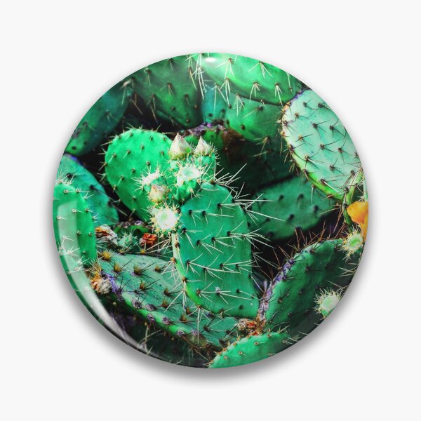 Item preview, Cactus, texturas naturales fotográficas. designed and sold by Wolka.