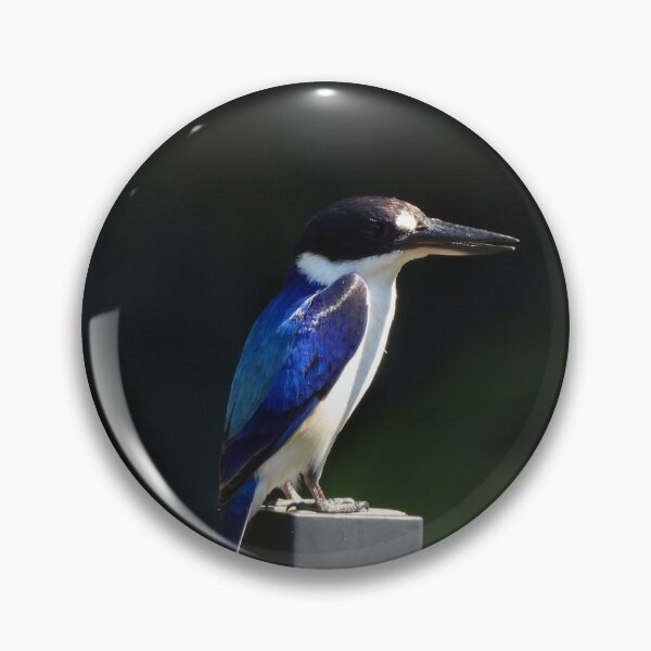 Item preview, Forest Kingfisher designed and sold by ongarra.