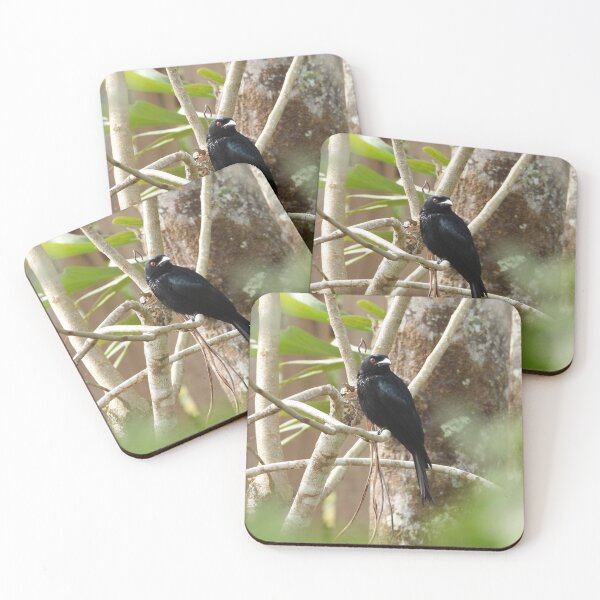 Item preview, Spangled Drongo designed and sold by ongarra.