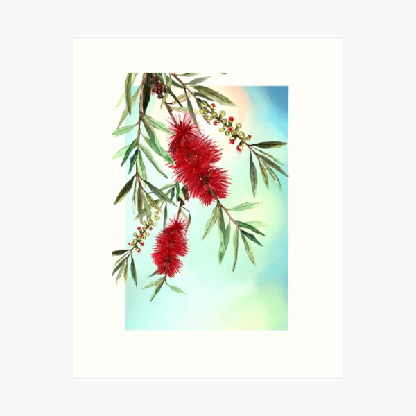 Item preview, Australian Bottle Brush designed and sold by SquinkCreative.