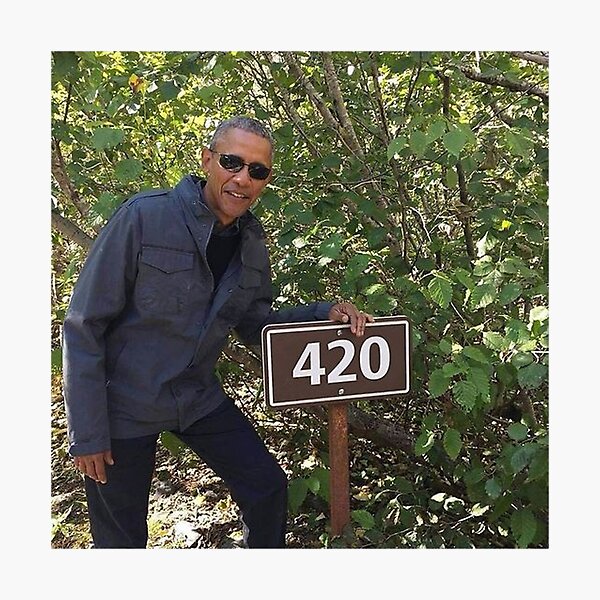 Poster 420 Obama Print Photographic Print