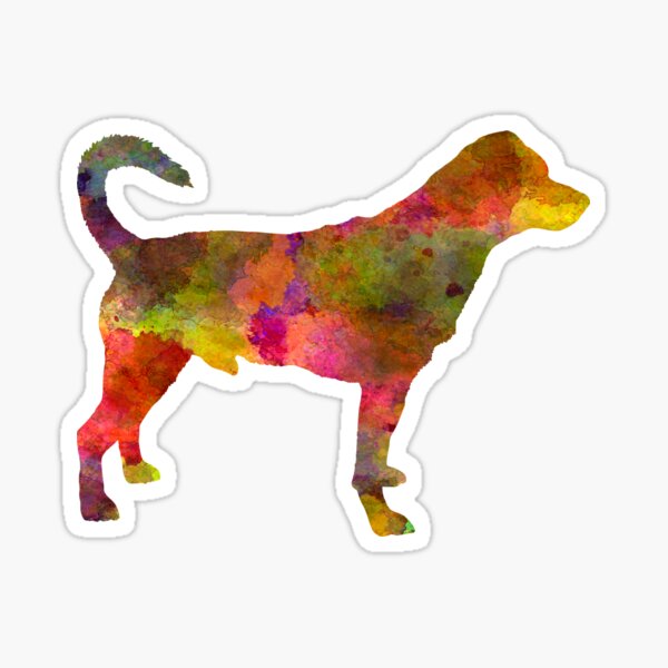 Vista previa del artículo con la obra «Perro de granja sueco danés 01 en acuarela», diseñado y vendido por paulrommer.